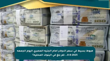 هبوط بسيط في سعر الدولار أمام الجنيه المصري اليوم الجمعة 8-8-2025.. كم بلغ في البنوك المحلية؟